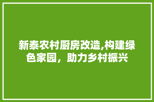 新泰农村厨房改造,构建绿色家园，助力乡村振兴