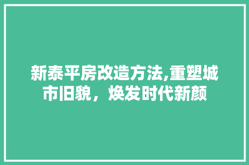 新泰平房改造方法,重塑城市旧貌，焕发时代新颜