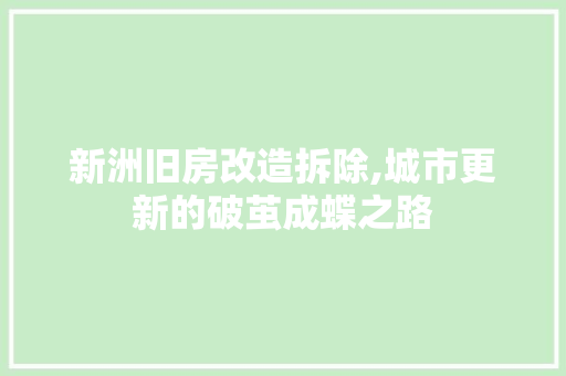 新洲旧房改造拆除,城市更新的破茧成蝶之路