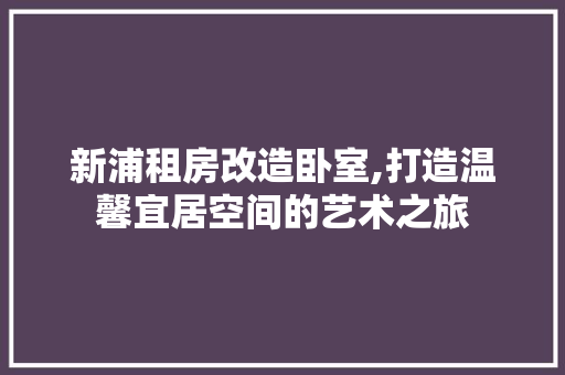 新浦租房改造卧室,打造温馨宜居空间的艺术之旅