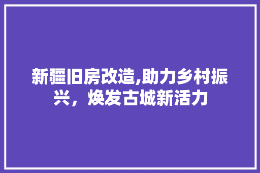 新疆旧房改造,助力乡村振兴，焕发古城新活力 汽车维修