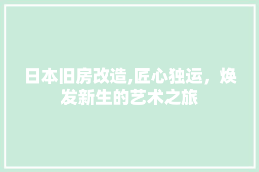 日本旧房改造,匠心独运，焕发新生的艺术之旅 厨房维修