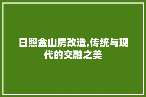 日照金山房改造,传统与现代的交融之美