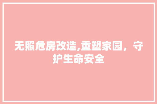 无照危房改造,重塑家园，守护生命安全 墙体维修