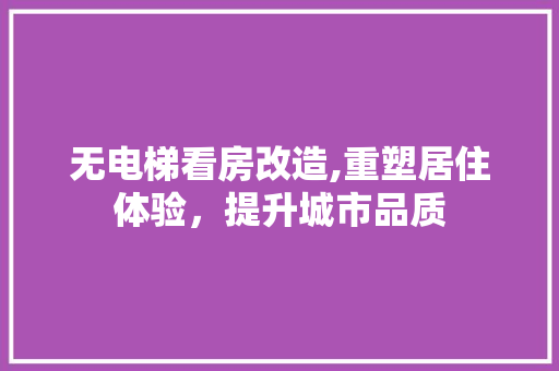 无电梯看房改造,重塑居住体验，提升城市品质 墙体维修