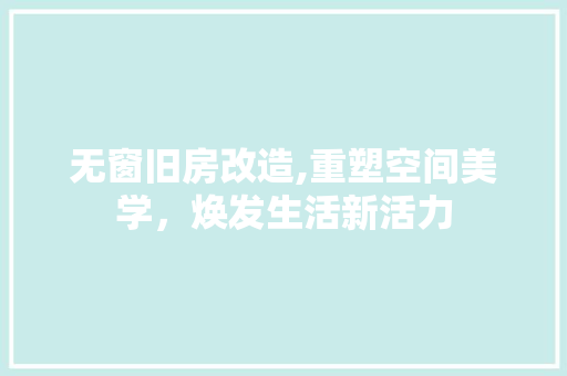 无窗旧房改造,重塑空间美学，焕发生活新活力 厨房维修
