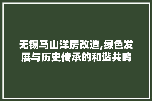 无锡马山洋房改造,绿色发展与历史传承的和谐共鸣 厨房维修