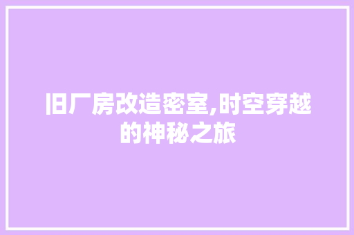 旧厂房改造密室,时空穿越的神秘之旅 墙体维修