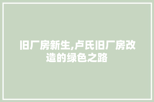旧厂房新生,卢氏旧厂房改造的绿色之路 厨房维修