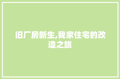 旧厂房新生,我家住宅的改造之旅 墙体维修