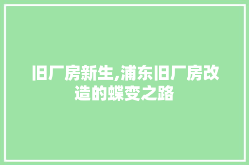 旧厂房新生,浦东旧厂房改造的蝶变之路 综合便民