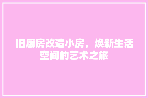 旧厨房改造小房，焕新生活空间的艺术之旅 厨房维修