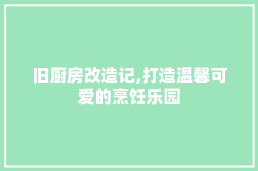 旧厨房改造记,打造温馨可爱的烹饪乐园 厨房维修