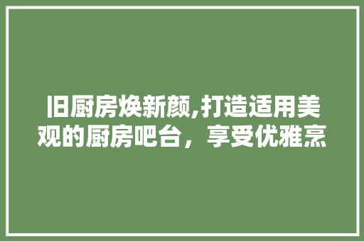 旧厨房焕新颜,打造适用美观的厨房吧台，享受优雅烹饪时光 厨房维修