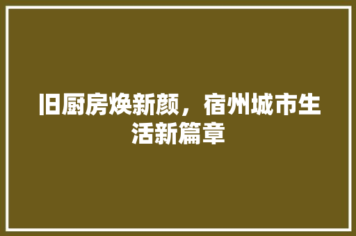 旧厨房焕新颜，宿州城市生活新篇章 墙体维修