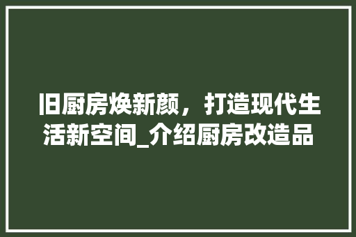 旧厨房焕新颜，打造现代生活新空间_介绍厨房改造品牌引领潮流 家电维修