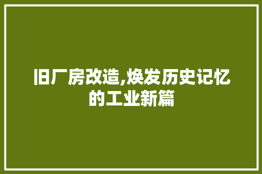 旧厂房改造,焕发历史记忆的工业新篇 墙体维修
