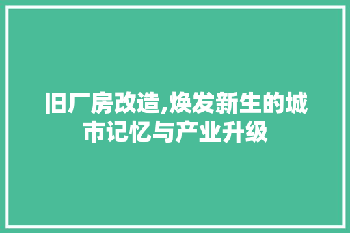 旧厂房改造,焕发新生的城市记忆与产业升级 家电维修