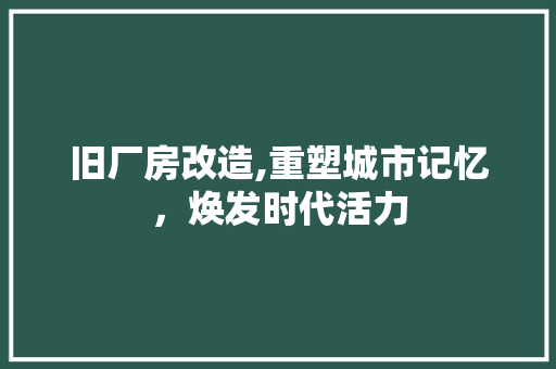 旧厂房改造,重塑城市记忆，焕发时代活力 汽车维修