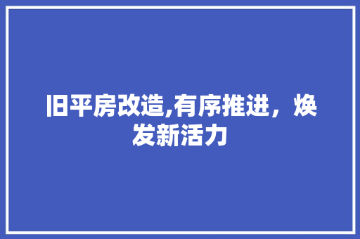 旧平房改造,有序推进，焕发新活力 墙体维修