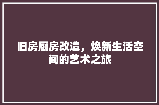旧房厨房改造，焕新生活空间的艺术之旅 汽车维修