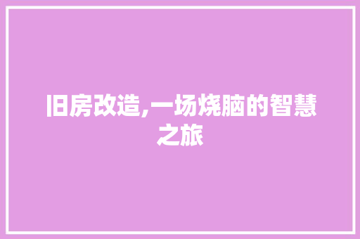 旧房改造,一场烧脑的智慧之旅 家电维修