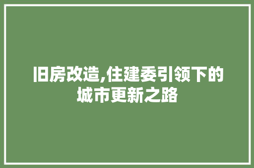 旧房改造,住建委引领下的城市更新之路 墙体维修