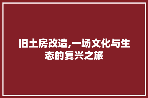 旧土房改造,一场文化与生态的复兴之旅 汽车维修