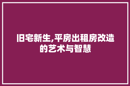 旧宅新生,平房出租房改造的艺术与智慧 墙体维修