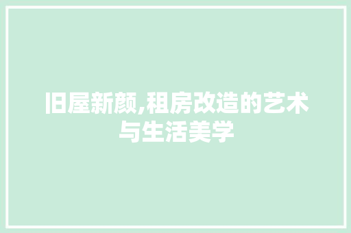 旧屋新颜,租房改造的艺术与生活美学 厨房维修