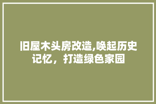 旧屋木头房改造,唤起历史记忆，打造绿色家园 厨房维修