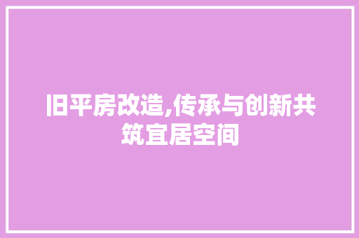 旧平房改造,传承与创新共筑宜居空间 汽车维修