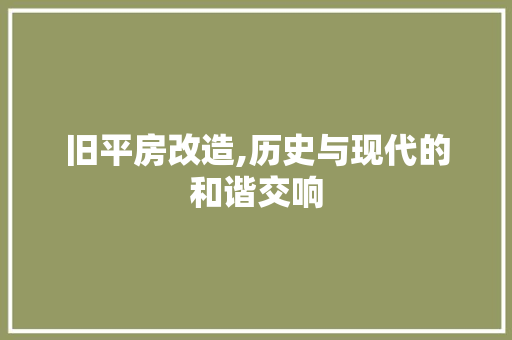 旧平房改造,历史与现代的和谐交响 厨房维修