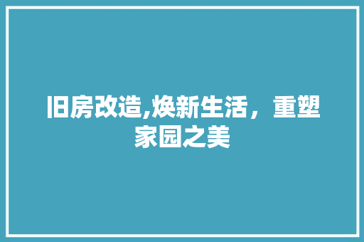 旧房改造,焕新生活，重塑家园之美 厨房维修