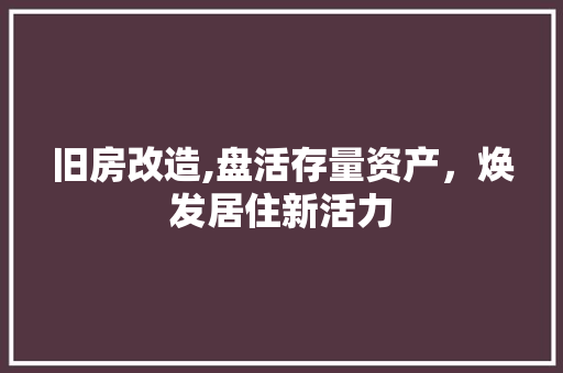 旧房改造,盘活存量资产，焕发居住新活力 厨房维修