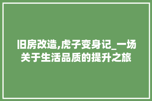 旧房改造,虎子变身记_一场关于生活品质的提升之旅 厨房维修