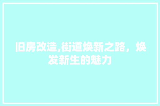 旧房改造,街道焕新之路，焕发新生的魅力 家电维修