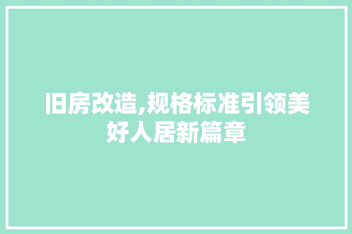 旧房改造,规格标准引领美好人居新篇章 家电维修