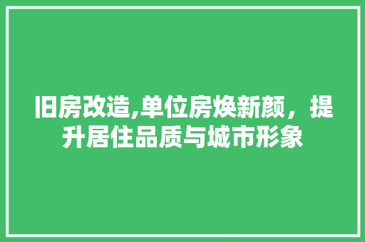 旧房改造,单位房焕新颜，提升居住品质与城市形象 汽车维修