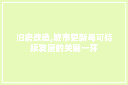 旧房改造,城市更新与可持续发展的关键一环 墙体维修