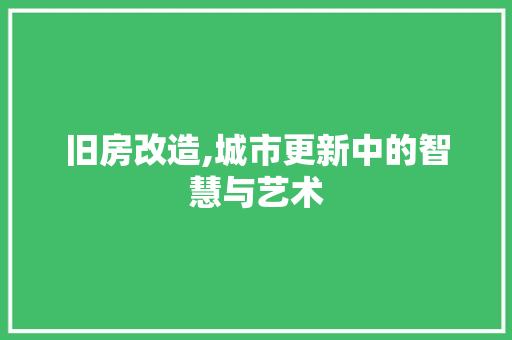 旧房改造,城市更新中的智慧与艺术 墙体维修