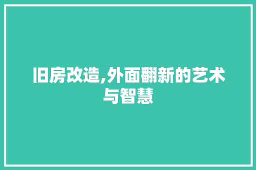 旧房改造,外面翻新的艺术与智慧 综合便民