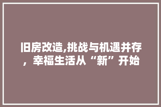 旧房改造,挑战与机遇并存，幸福生活从“新”开始 汽车维修