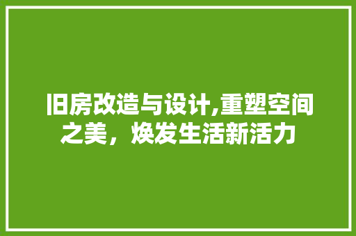 旧房改造与设计,重塑空间之美，焕发生活新活力 厨房维修