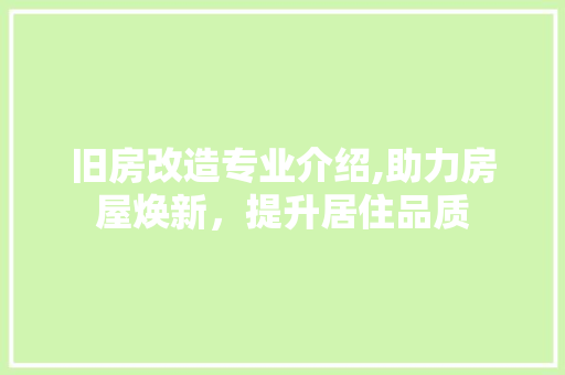 旧房改造专业介绍,助力房屋焕新，提升居住品质 墙体维修