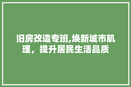 旧房改造专班,焕新城市肌理，提升居民生活品质 厨房维修