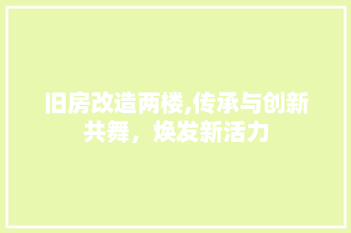 旧房改造两楼,传承与创新共舞，焕发新活力 汽车维修