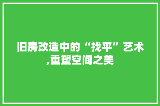 旧房改造中的“找平”艺术,重塑空间之美 墙体维修