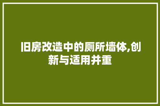 旧房改造中的厕所墙体,创新与适用并重 墙体维修