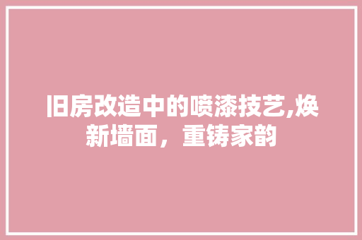 旧房改造中的喷漆技艺,焕新墙面，重铸家韵 家电维修